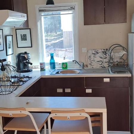 Mobilhome Entre Ciel Et Collines Rocbaron Ngoại thất bức ảnh