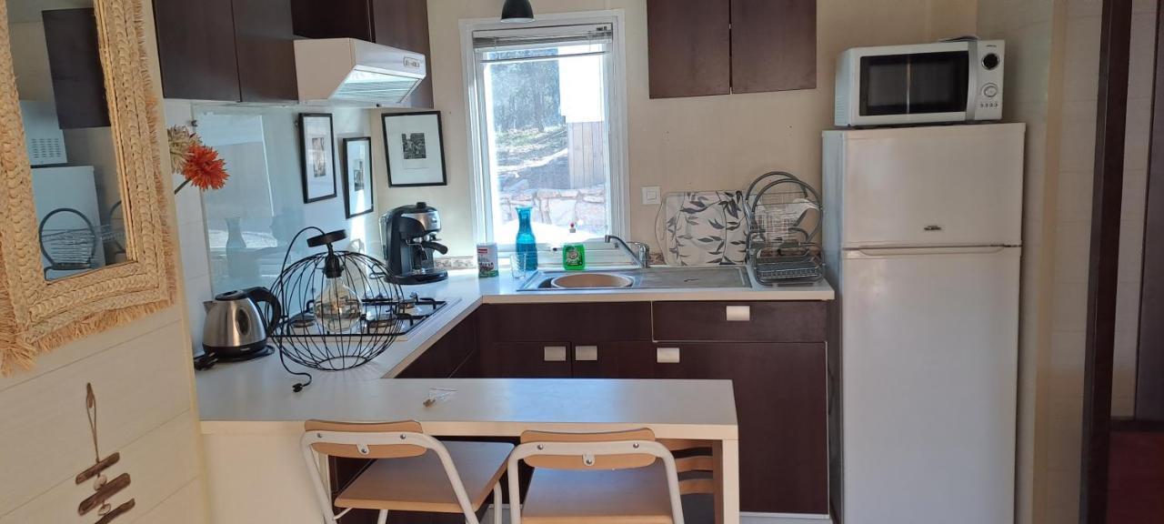 Mobilhome Entre Ciel Et Collines Rocbaron Ngoại thất bức ảnh
